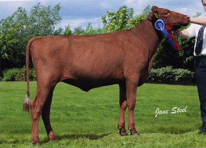 lisnamulligan princess anne 4